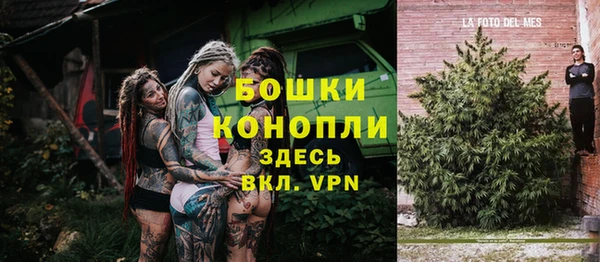 трава Магадан