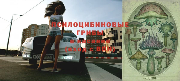 мет Магас