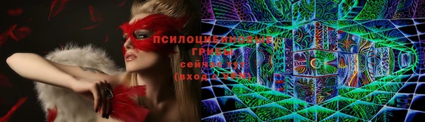 мет Магас